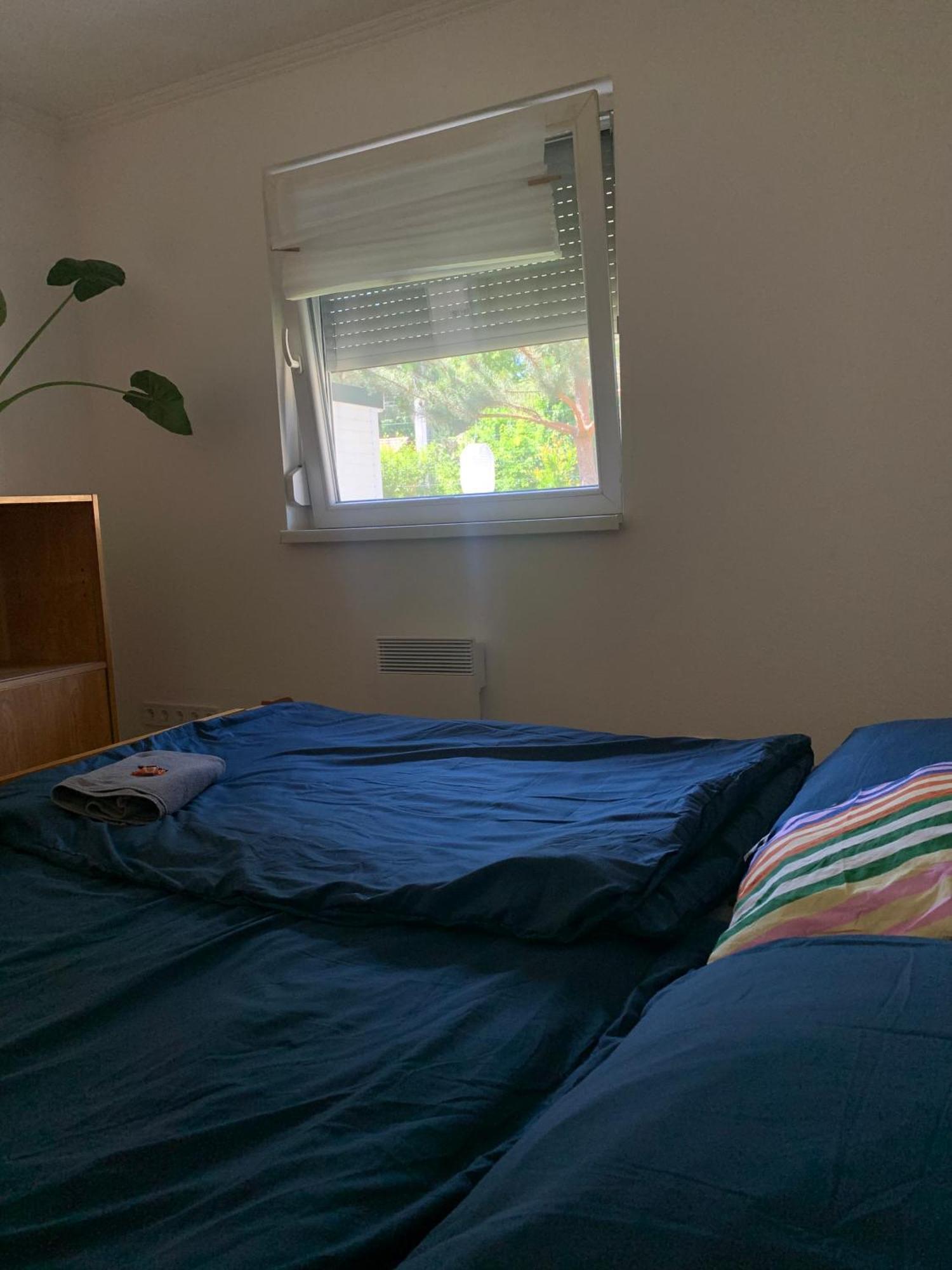Marika Vendeghaz Villa Szigetmonostor Eksteriør billede